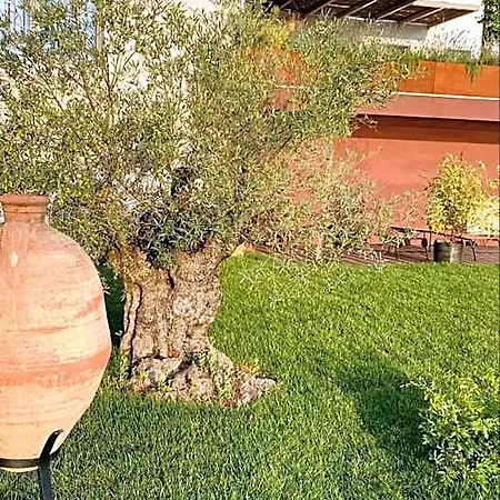 Pribjeći Casa Dante - Boutiquehouse Tomr *